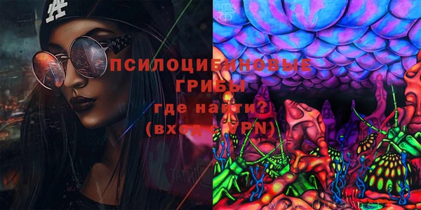 гашик Медногорск