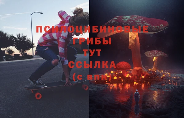 гашик Медногорск