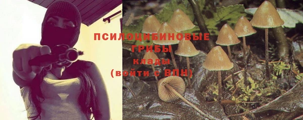 гашик Медногорск