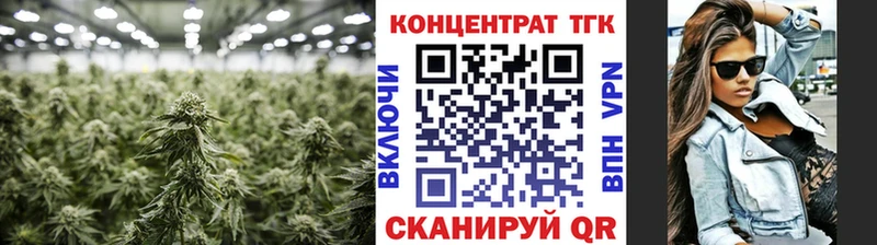 Дистиллят ТГК THC oil  МЕГА сайт  Шарыпово  сколько стоит 