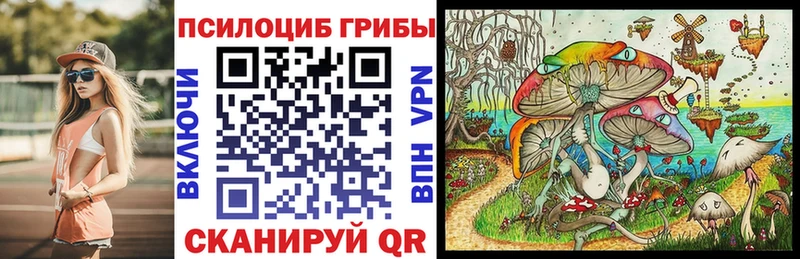 Псилоцибиновые грибы Cubensis  Шарыпово 