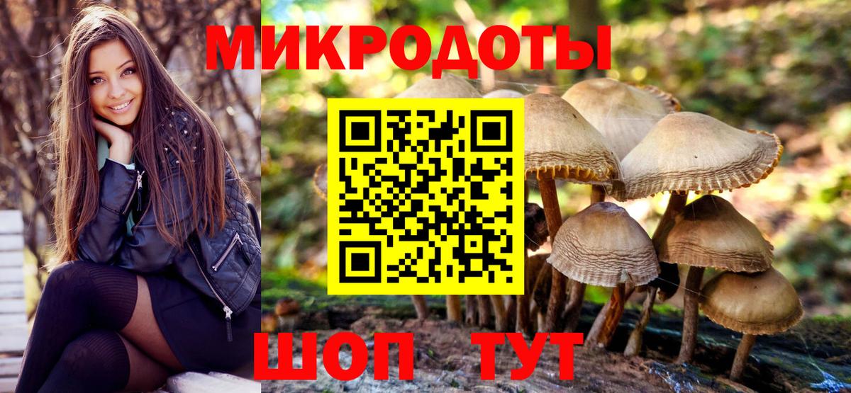 Псилоцибиновые грибы мицелий Шарыпово