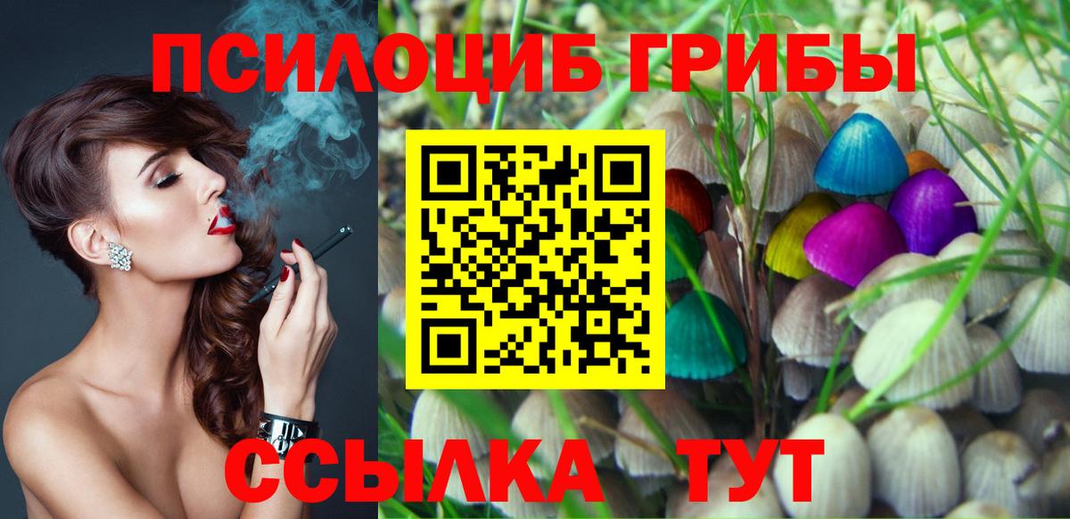 Галлюциногенные грибы MAGIC MUSHROOMS  наркота  Шарыпово  Вход с VPN 