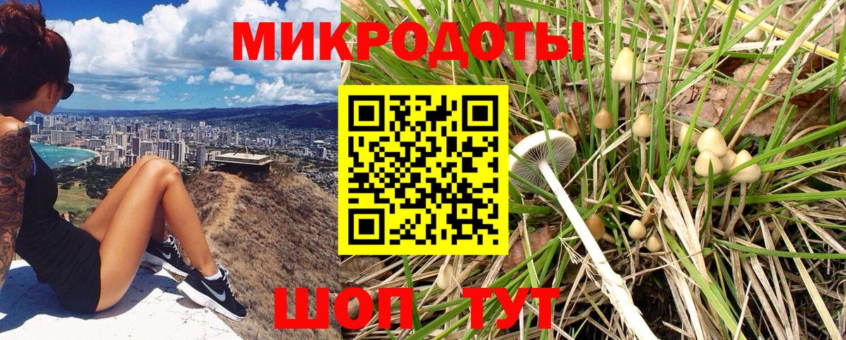 Галлюциногенные грибы Magic Shrooms  Шарыпово  Псилоцибиновые грибы Magic Shrooms 