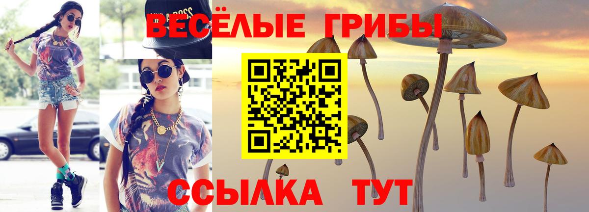 Псилоцибиновые грибы MAGIC MUSHROOMS Шарыпово